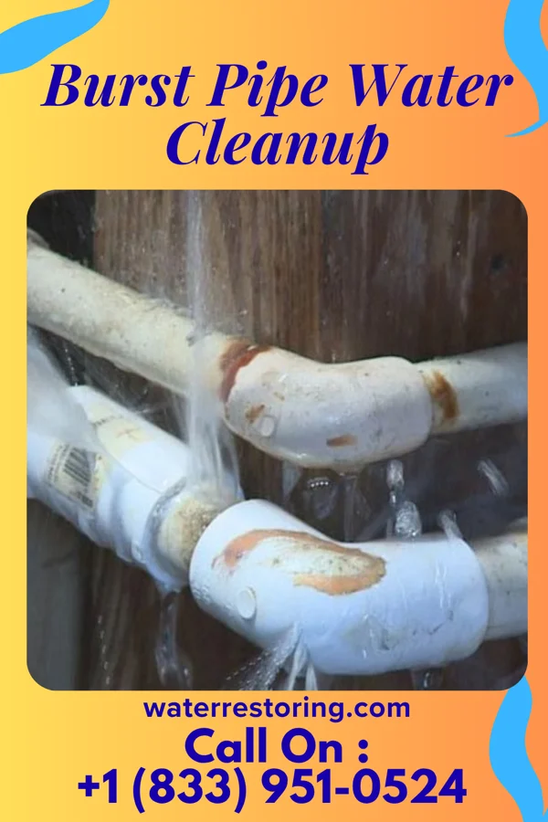 Burst Pipe Water Cleanup in Rose Hill Acres, TX