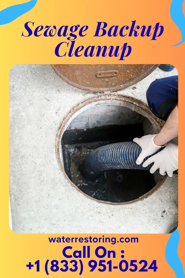 Sewage Backup Cleanup in Rose Hill Acres, TX